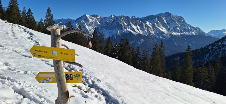 Wieder auf der Stepbergalm 