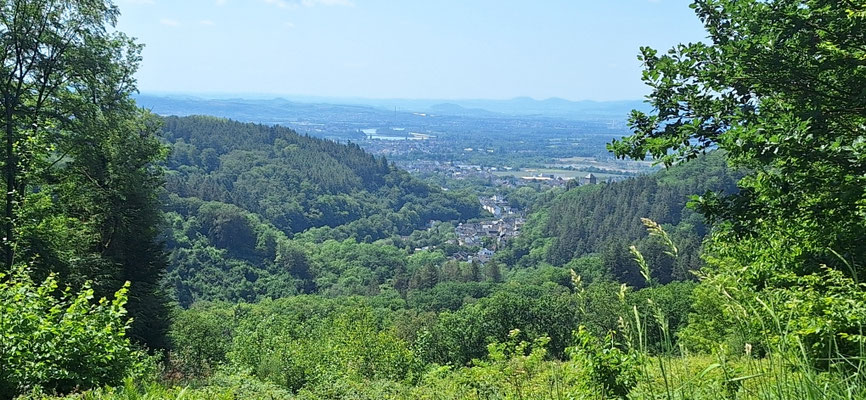 Blick vom Limes auf den Rhein