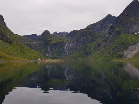 Forsfjord