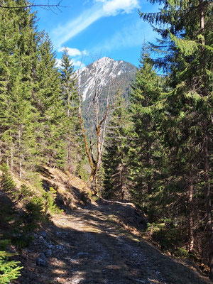 Hirschbühl, gesehen kurz oberhalb der Rotmoos