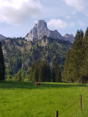 Noch imposanter von der Wanker Alm
