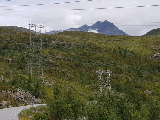 Austanbottstidane