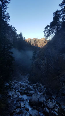 Aus dem Nebel