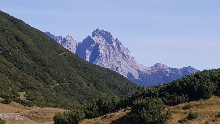 Grünstein vom Bichelbächler Joch