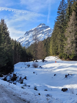 Serles und Rodelbahn