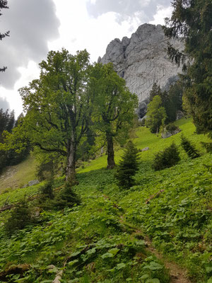 im Aufstieg zum Geiselsteinjoch