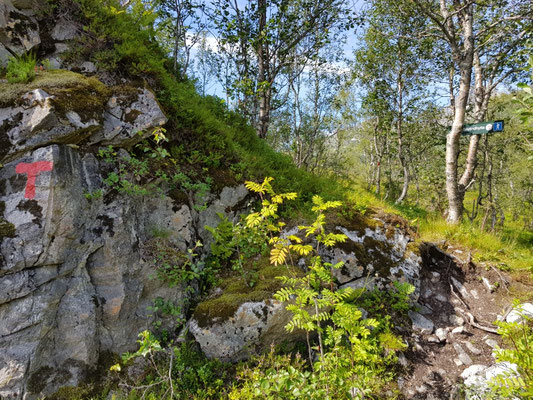 Beginn des Wanderwegs zur Snytindhytta
