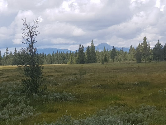Jotunheimen kommt in Sicht