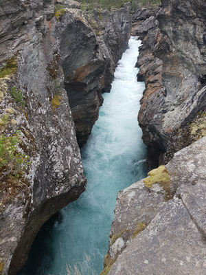 Ridderspranget