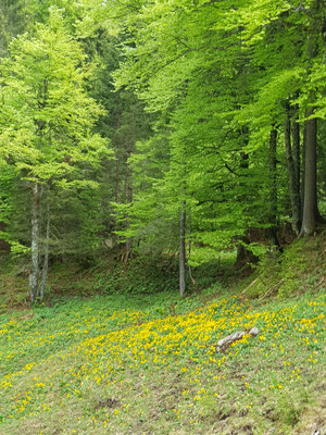 Frühlingsfarben