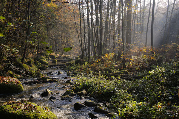 An der Feldaist