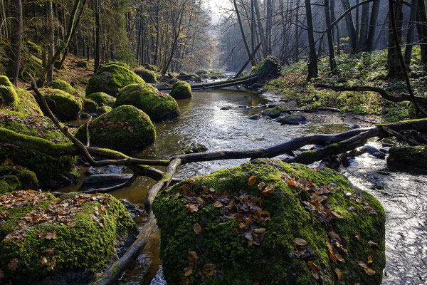 An der Feldaist