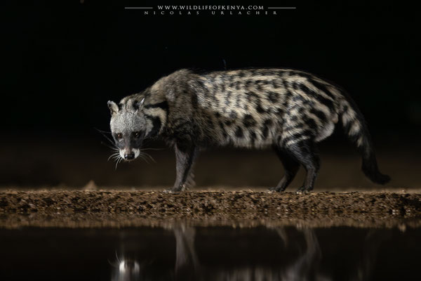 Shompole Conservancy