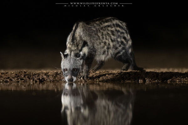 Shompole Conservancy