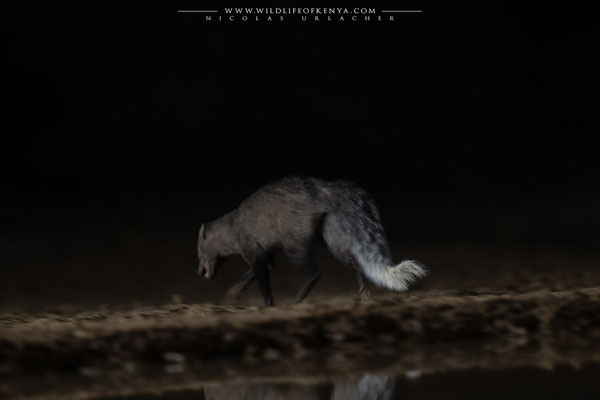 Shompole Conservancy