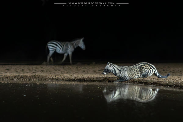 Shompole Conservancy
