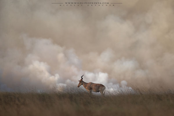 Mara Triangle