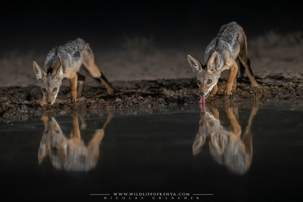 Shompole Conservancy