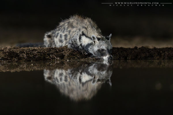 Shompole Conservancy