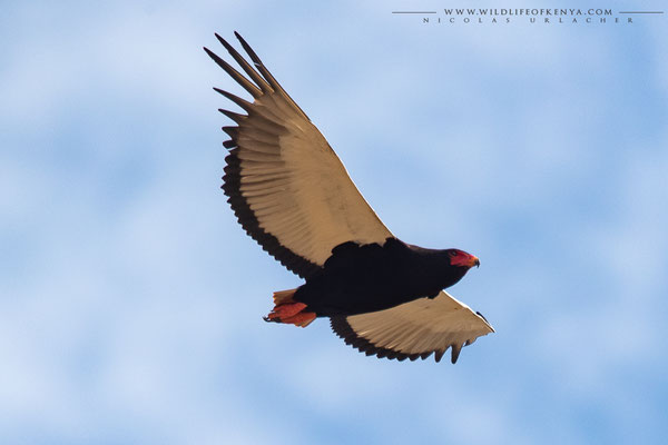 Samburu National Reserve