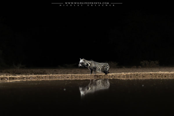 Shompole Conservancy