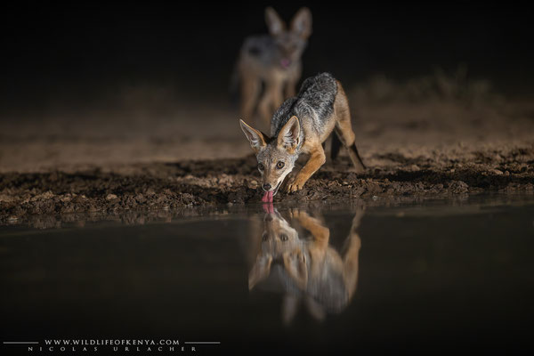 Shompole Conservancy