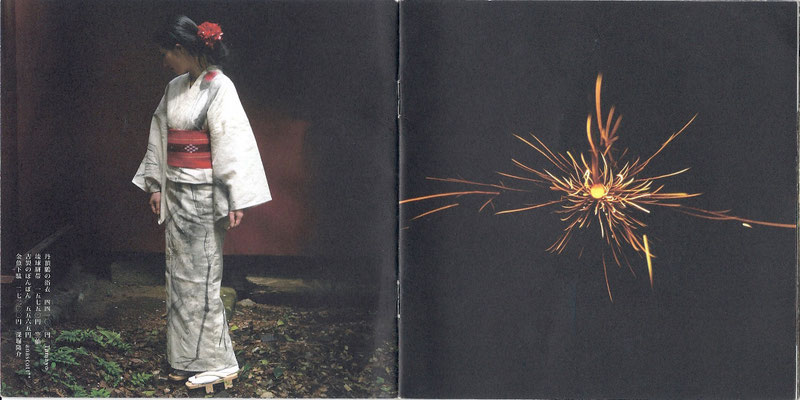 作品メディア紹介 Tamayo Samejima