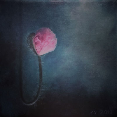 "Poppy" 2019 nach dem Foto von Priska Wettstein, Öl 20x20