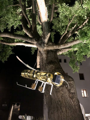 BEE SCULPTURE - QUEEN OF THE ECOSYSTEM l 2019 l 50x130x145 cm. W.  9.5 kg. at Palais Campofranco in Bolzano, Italy. Polished, anodized and hammered aluminum