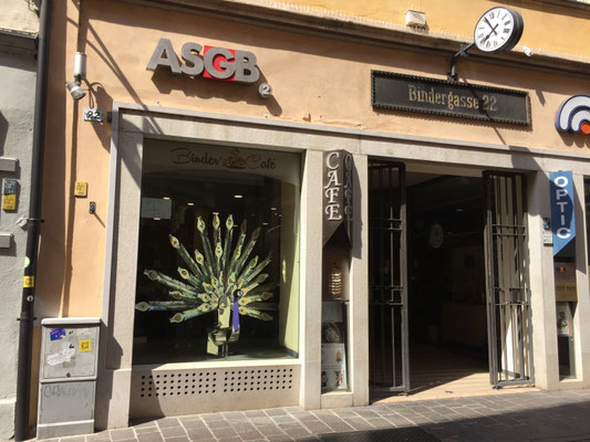 GALACTIC PEACOCK l 2018 l 220x167x93 cm. P. 10.4 kg. è parte del Bar Civico 22 e si trova all'interno. 