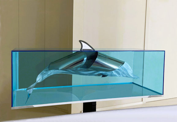 DOLPHIN-DECEPTIVE FIN l 2025 l 125x50x50 cm. P. 20 kg, l Acero inoxidable y caja en plexiglás.