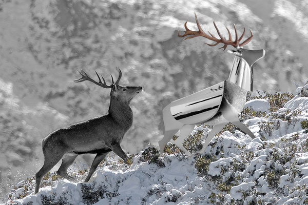 DER HIRSCH UND DER EWIGE SILBERNE HIRSCH l 2025 l Foto auf Aluminium gedruckt
