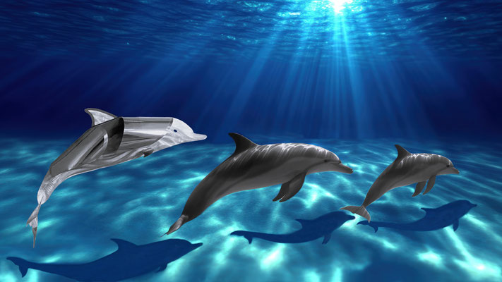 UNDERWATER HARMONY l 2025 l Foto auf Aluminium gedruckt, verschiedene Größen