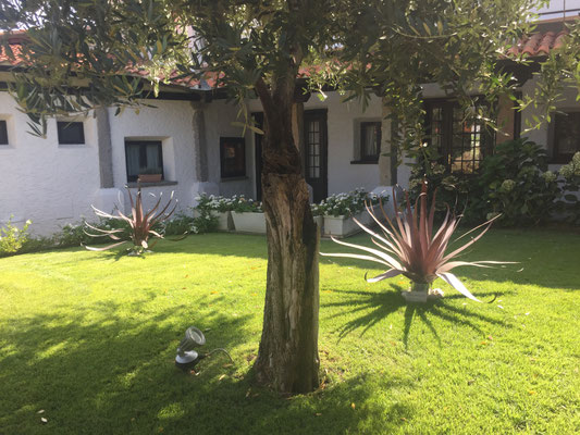 AGAVE SCULPTURES 2017, quattro mie sculture (Agavi) fanno parte della Fondazione Hrusca e si trovano presso l'Hotel Sporting a Porto Rotondo.