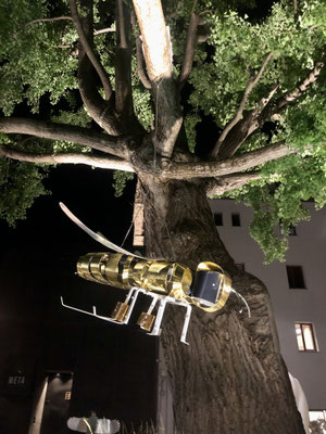 BEE SCULPTURE - QUEEN OF THE ECOSYSTEM l 2019 l 50x130x145 cm. P. 9.5 kg. A Palais Campofranco a Bolzano. Alluminio martellato, anodizzato e lucido