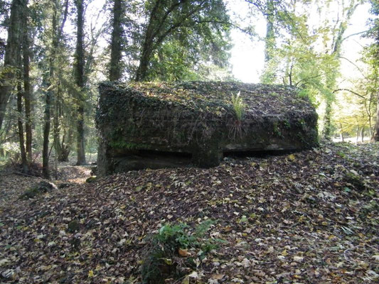 Blockhaus