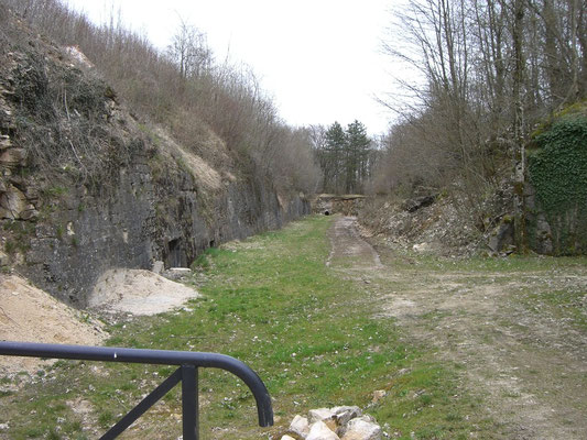 Kehlgraben