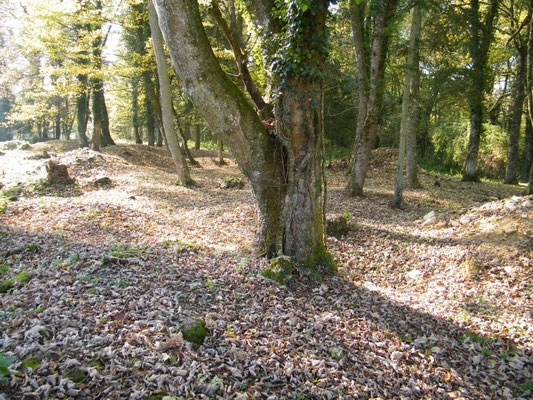 Ehemaliges Dorf