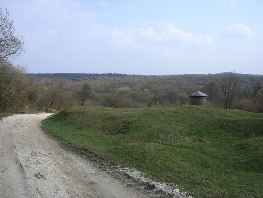 Einer der Türme und der Weg, der in Richtung Chapitrewald führt