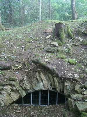 erhaltener Keller