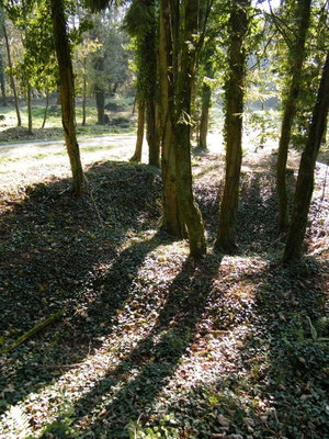 Ehemaliges Dorf