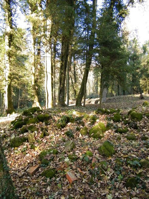 Ehemaliges Dorf