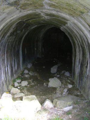 Blick in den Tunnel des Kehleingangs
