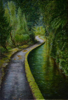 Levada, Madeira // oil on canvas // 35 x 51 cm