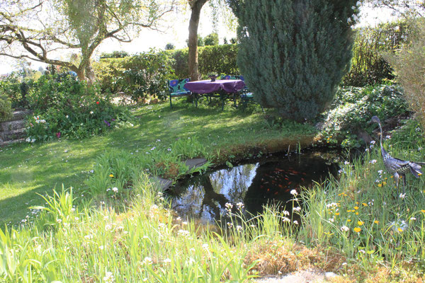 Gartenteich mit Sitzgelegenheit unter einer Birke