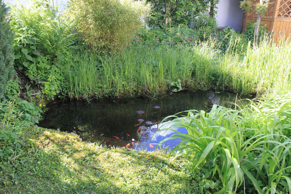 Gartenteich im westlichen Garten