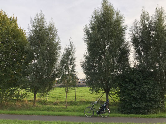 Holz 2022