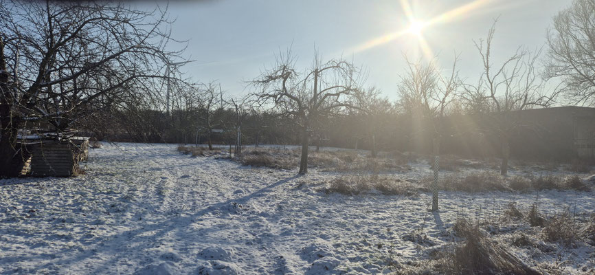 Winter auf der Wiese 2026