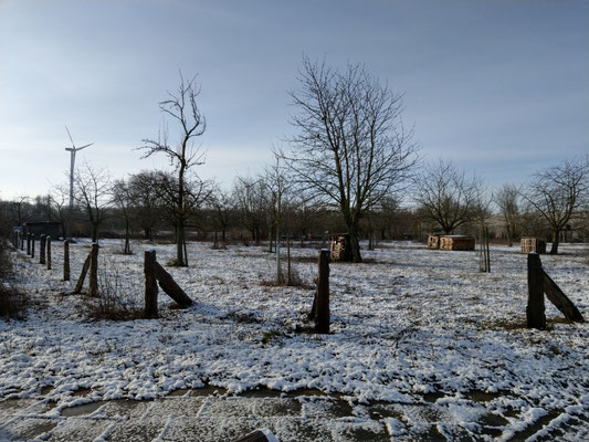 Winter 2020