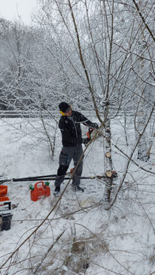Holz Frühjahr 2026